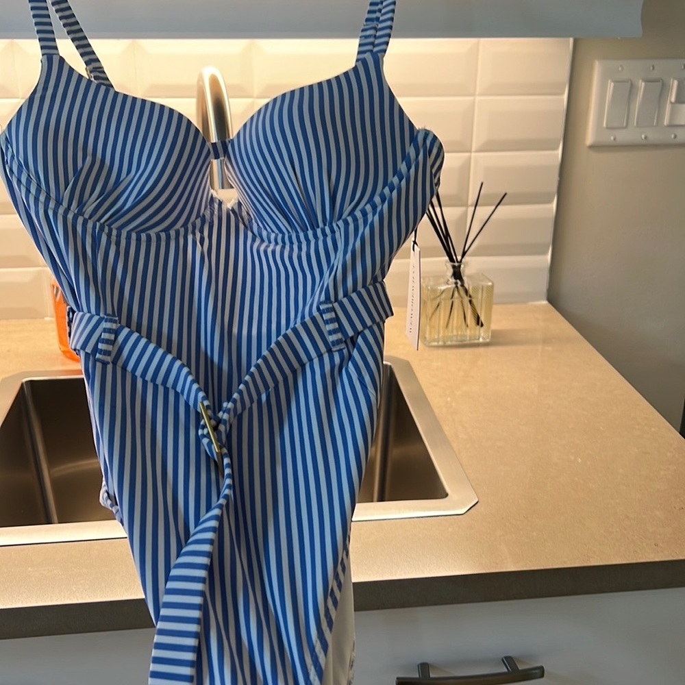 Who wore what swim suit NWT LARGE